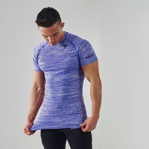 Gymshark avant seamless shirt amethyst